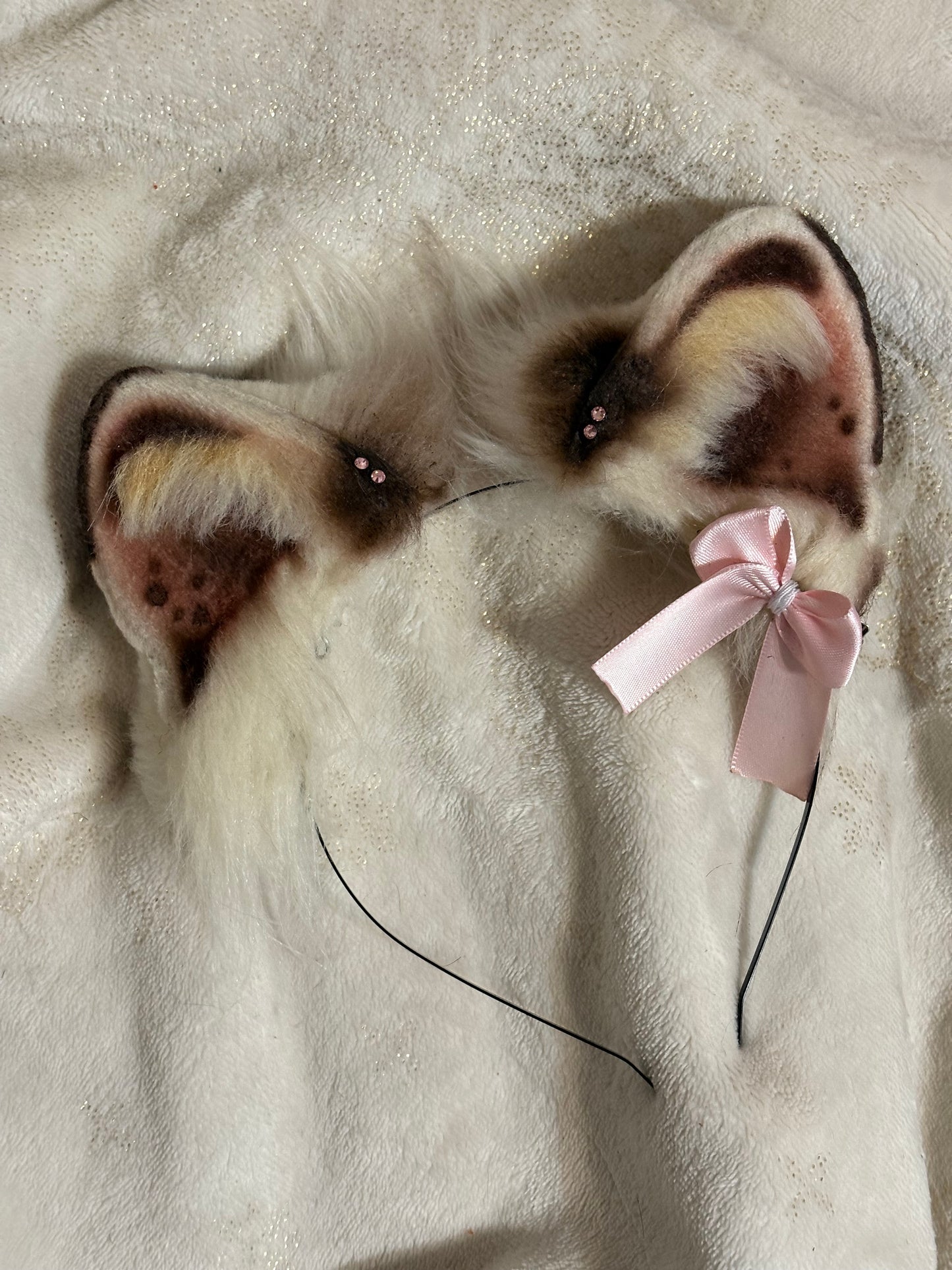Surprise Me Ears