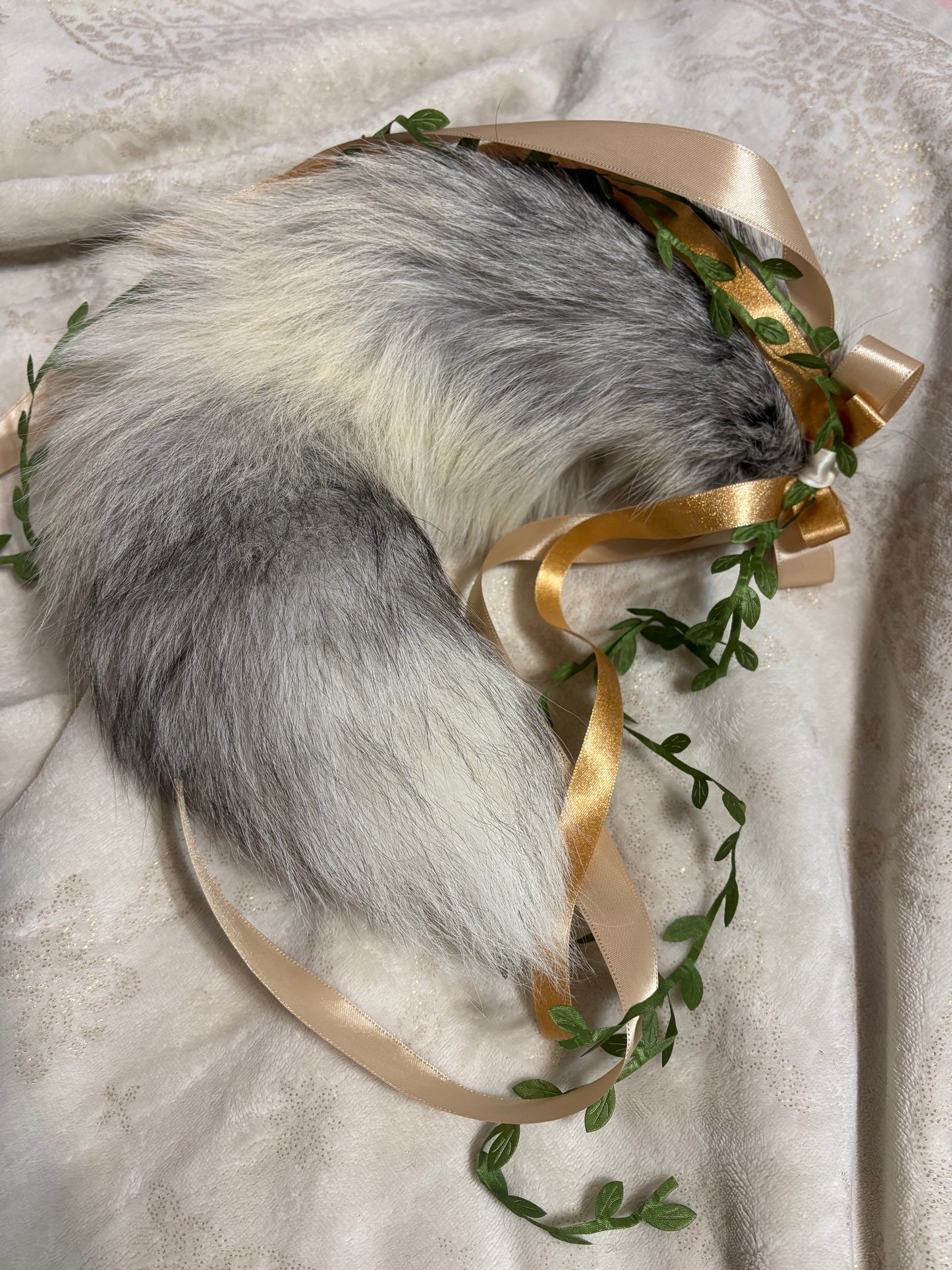 "Golden Leaf" Kitty set