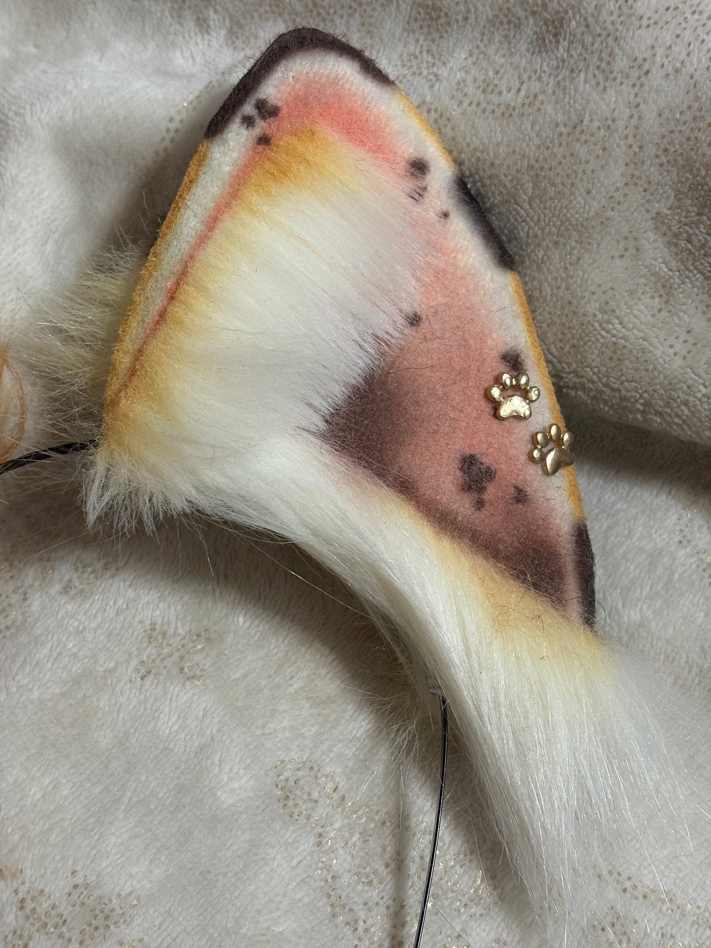 "Muddy Carrot" Akita